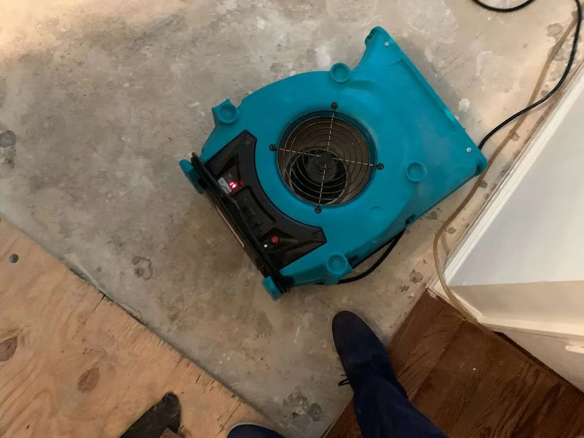 Air mover drying subfloor during Commercial Water Damage Restoration in Metairie