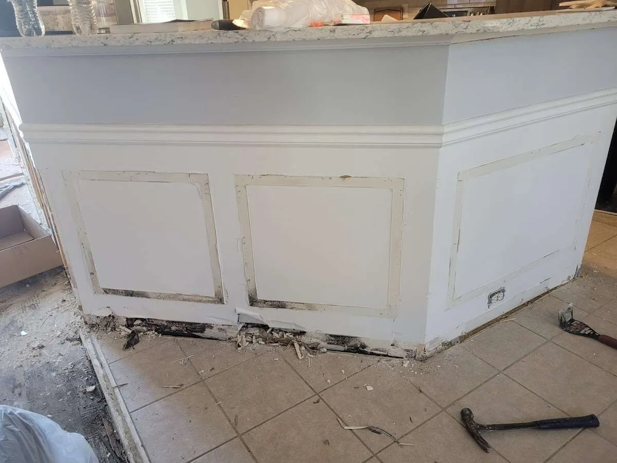 Water damage and mold on kitchen during Mold Inspection & Testing in Metairie